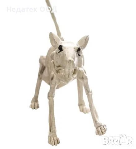 Реалистичен скелет,  Хелоуин, мишка, бял, 20 см, снимка 2 - Декорация за дома - 47606595