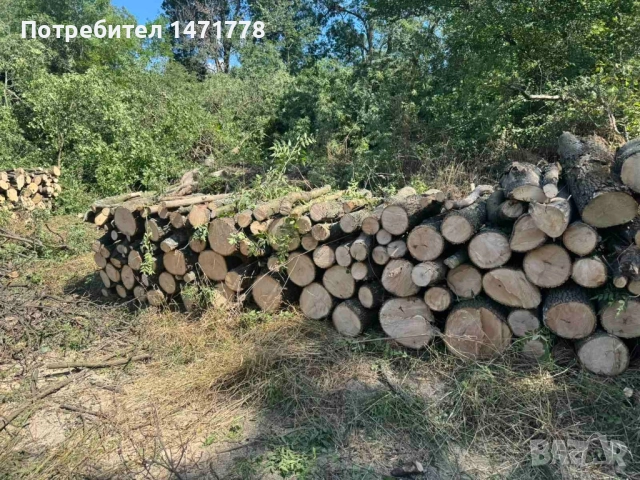 Дърва за огрев , снимка 14 - Дърва за огрев - 45429102