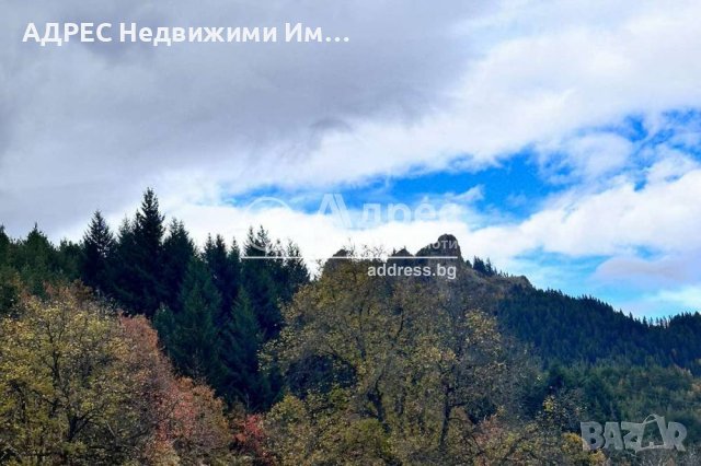 Парцел за застрояване в град Смолян , снимка 5 - Парцели - 43113141