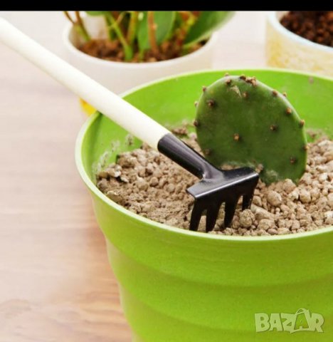 Комплект за саксийни растения , снимка 3 - Стайни растения - 33591660