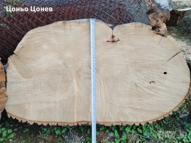 ЯСЕН ЗА ПЛОТОВЕ НА МАСИ НА ДИСКОВЕ, СУХ , снимка 5 - Маси - 47558728