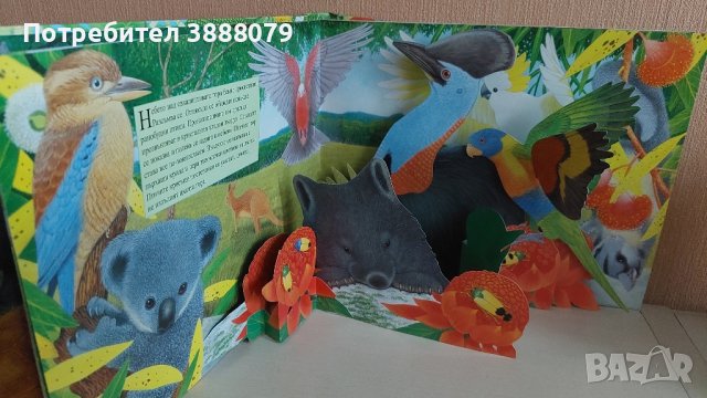 Детска книга със звуци " Горите около Екватора ", снимка 2 - Детски книжки - 43739523
