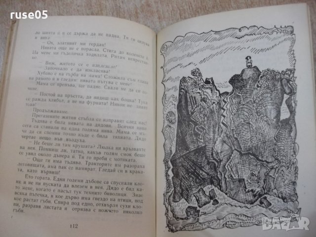 Книга "Къде свършва небето - Василка Хинкова" - 136 стр., снимка 5 - Детски книжки - 27144722