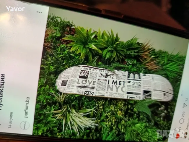 Skatebord Каролина Ерера Ню Йо, снимка 3 - Скейтборд, ховърборд, уейвборд - 48786455