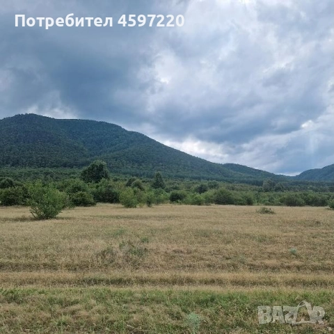 продавам поземлен имот с площ 10 001 кв.м в землището на град Долна баня, снимка 2 - Земеделска земя - 51742460