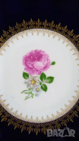 Фруктиера - Reichenbach, Германия, снимка 2 - Други - 49874207