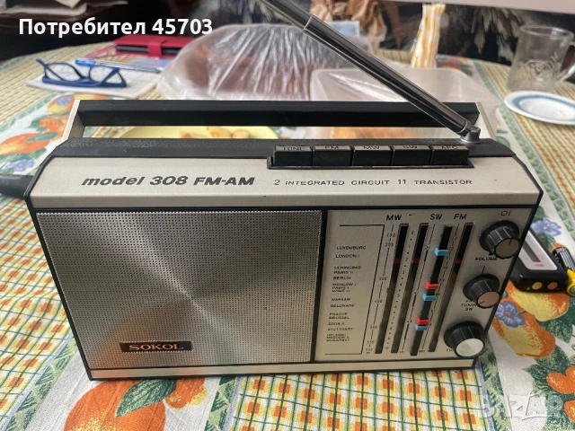 Сокол, снимка 1