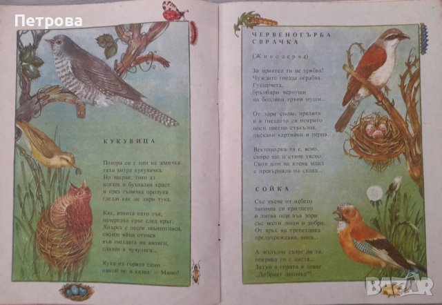 Синигерче в торбичка издателство Отечество 1989 г, снимка 5 - Детски книжки - 40612480