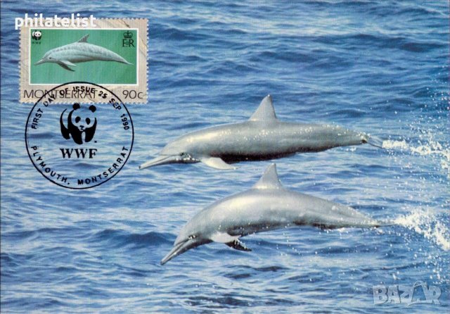Монтсерат 1990 - 4 броя Карти Максимум - WWF, снимка 4 - Филателия - 38890706