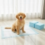 Хигиенни пелени-подложки за кучета XL 40х60 см – силно абсорбиращи и непромокаеми 20 броя, снимка 1
