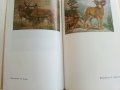 Христоматия по Биология/Зоология том 1/ - Т.Митева,М.Дечева,Й.Лихарска,Е.Шопова,Р.Савова - 1984г., снимка 6