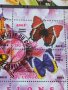 Пощенски марки чиста комплектна серия ПЕПЕРУДИ поща Конго много красиви за колекция 29817, снимка 7