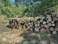 Дърва за огрев , снимка 14