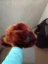 Продавам кожух от естествена агнешка кожа с яка от естествен косъм от каскада Лисица и шапка , снимка 10