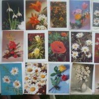 Пощенски картички с цветя и животни., снимка 3 - Колекции - 43512265
