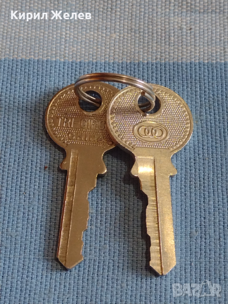 Два ключа за катинар за КОЛЕКЦИЯ ДЕКОРАЦИЯ БИТОВ КЪТ 29255, снимка 1