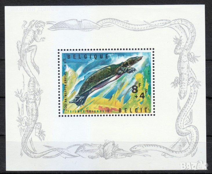 Белгия 1965 ”Африканска костенурка - Зоопарк Антверпен” , снимка 1