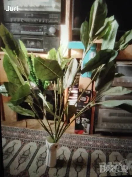 Изкуствено растение вис. около 1 м., снимка 1