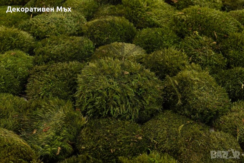 НОВО! Декоративен скандинавски топчест MOOD мъх-за картини или украса, снимка 1