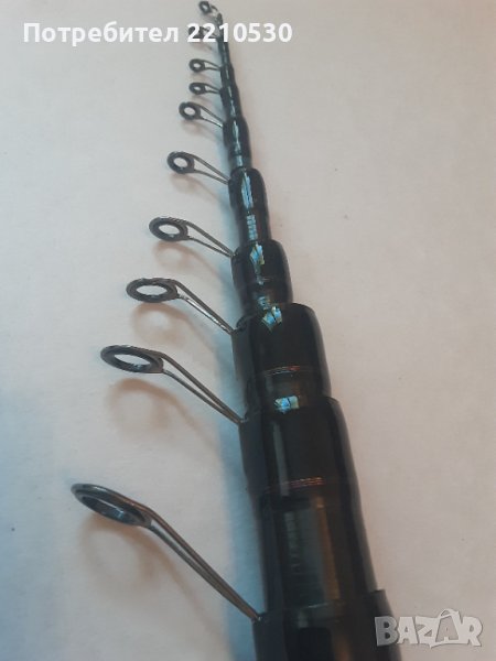 Болонезета 7м., снимка 1