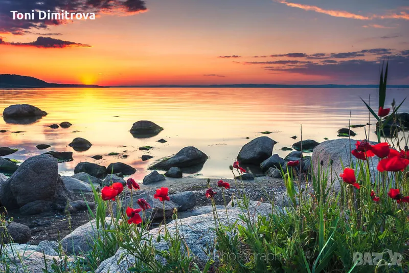 Търся кредит от 500лева, снимка 1