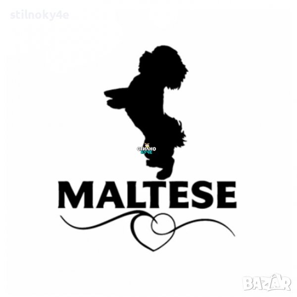 Стикер за автомобил/кола на породата Малтийска болонка Стикери за автомобили на различни породи, снимка 1