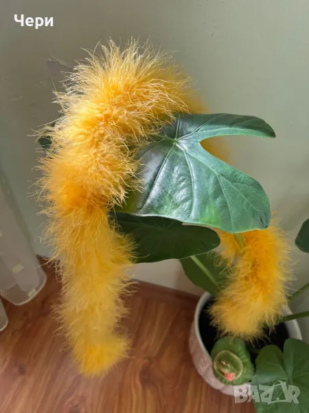 Шалче сценично/карнавално, снимка 1