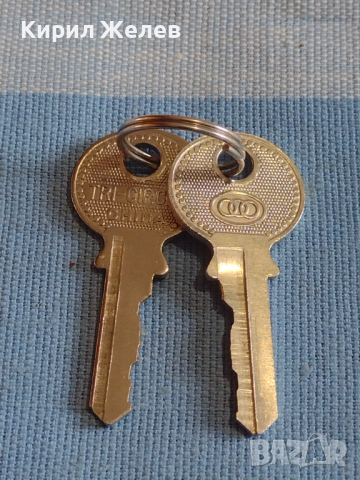 Два ключа за катинар за КОЛЕКЦИЯ ДЕКОРАЦИЯ БИТОВ КЪТ 29255