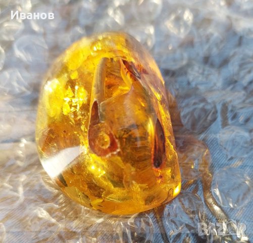 Балтийски кехлибар с отлично съхранени фосили , снимка 11 - Други - 33665443