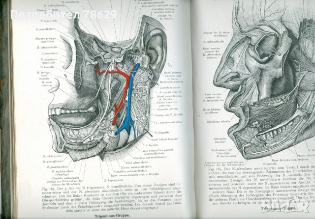 АТЛАС ПО АНАТОМИЯ НА ПРОФ. СТАНИШЕВ /СИН НА МИНИСТЪРА/, снимка 2 - Енциклопедии, справочници - 53483258