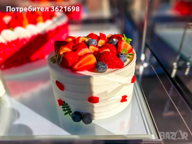 Хладилна витрина 270 литра, CM-900B, снимка 7 - Хладилни витрини и фризери - 52629068