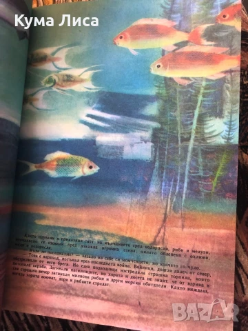 Приключенията на чипоноско , снимка 5 - Детски книжки - 51296778