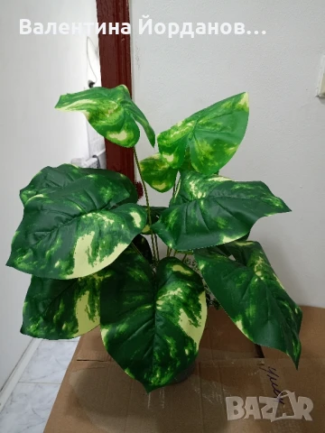 изкуствени цветя в кашпи , снимка 3 - Изкуствени цветя - 50848537