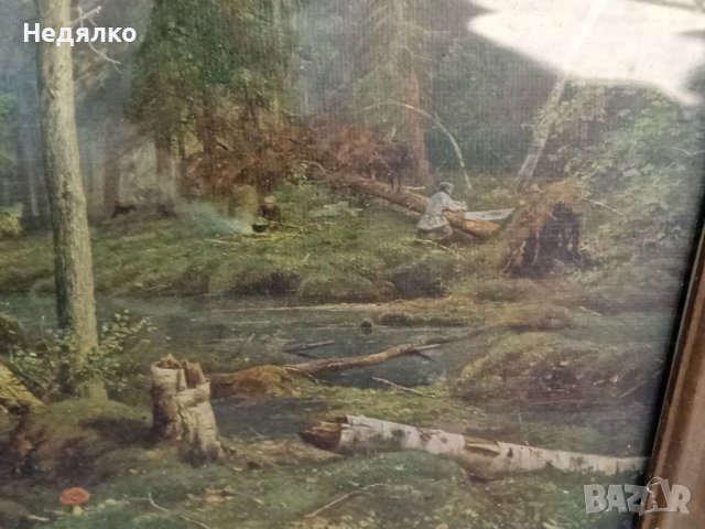 И.Шишкин,Рубка леса, картина, репродукция,1965г, снимка 7 - Антикварни и старинни предмети - 40356347