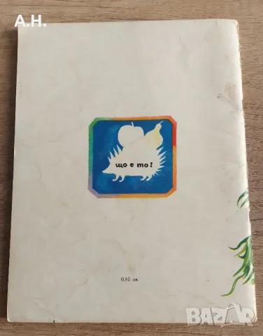 Многознайка - 100 Гатанки и още нещо, снимка 2 - Детски книжки - 48830983