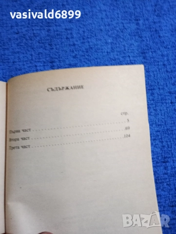 Ани Виванти - Аз съм виновна , снимка 5 - Художествена литература - 51967481