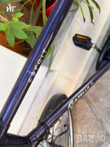 ПРОМО Велосипед GAZELLE Esprit 28 цола/Royal Dutch, снимка 3 - Велосипеди - 51662341