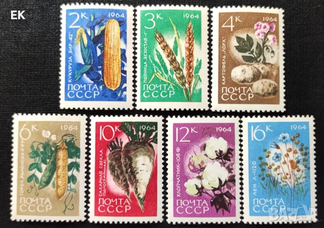 СССР, 1964 г. - пълна серия чисти марки, растения, 5*10, снимка 1