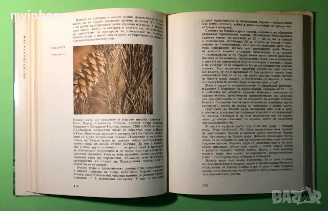Стара Книга Атлас по Ботаника/Сл.Петров,Е.Паламарев, снимка 6 - Специализирана литература - 49279602