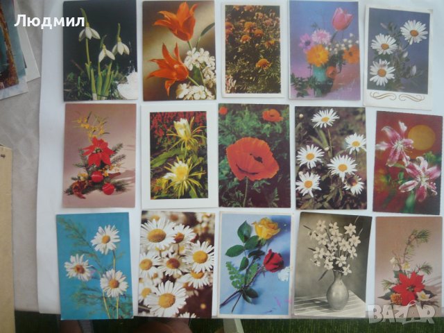 Пощенски картички с цветя и животни., снимка 3 - Колекции - 43512265