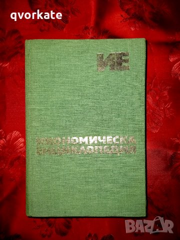 Икономическа енциклопедия в 2 тома -Емилия Иванова, снимка 3 - Енциклопедии, справочници - 19786192