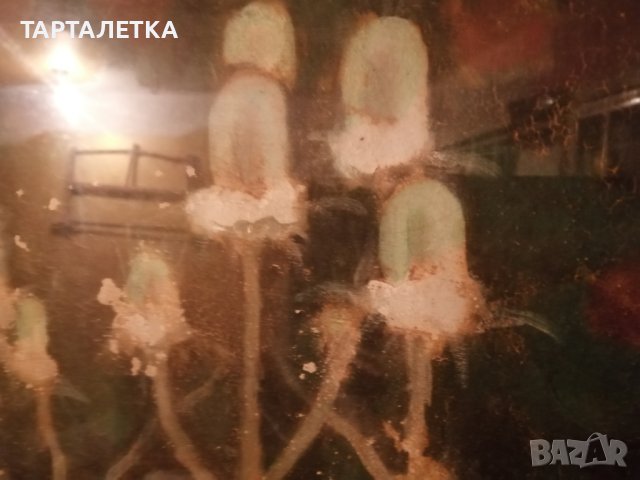  С. Дачев стара Картина с макове в рамка С. Дачев , снимка 4 - Картини - 43506666