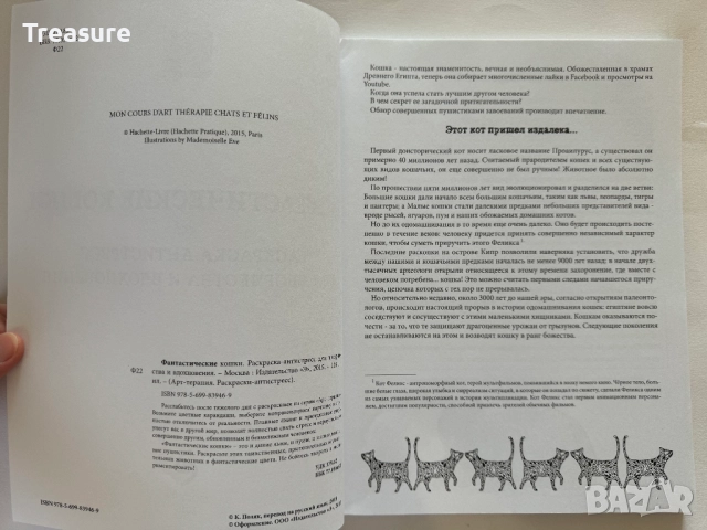 Фантастические Кошки - Раскраска-Антистресс, снимка 6 - Други - 46867302