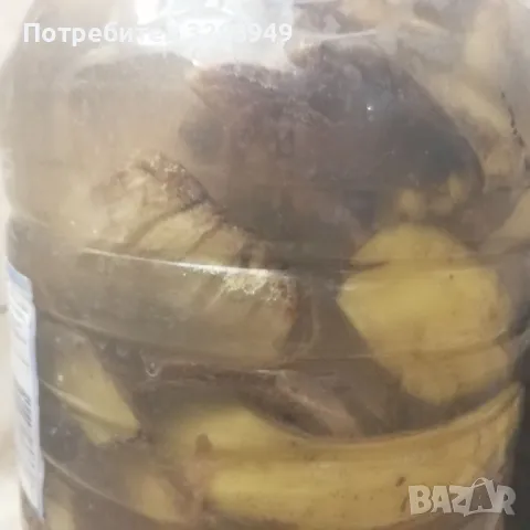 Домашен тор от БИО Банани, снимка 3 - Тор и почвени смеси - 48118036