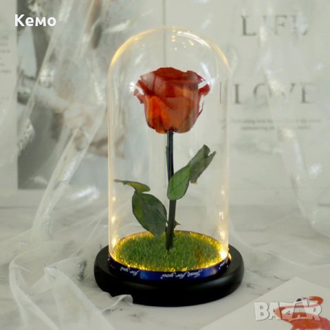 Вечна естествена роза в стъкленица, снимка 4 - Декорация за дома - 27657211