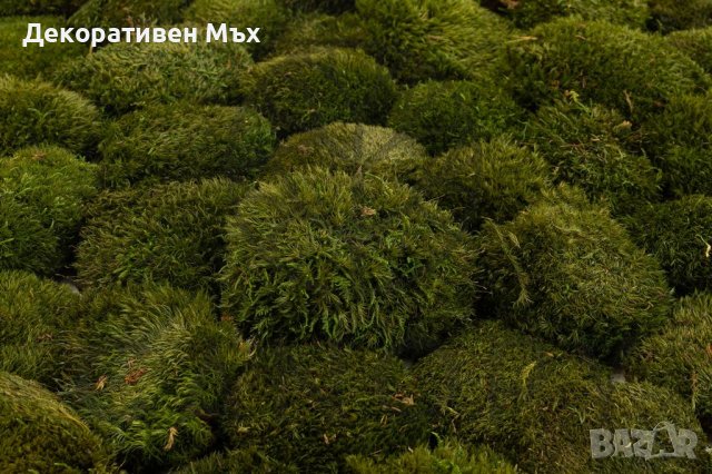 НОВО! Декоративен скандинавски топчест MOOD мъх-за картини или украса