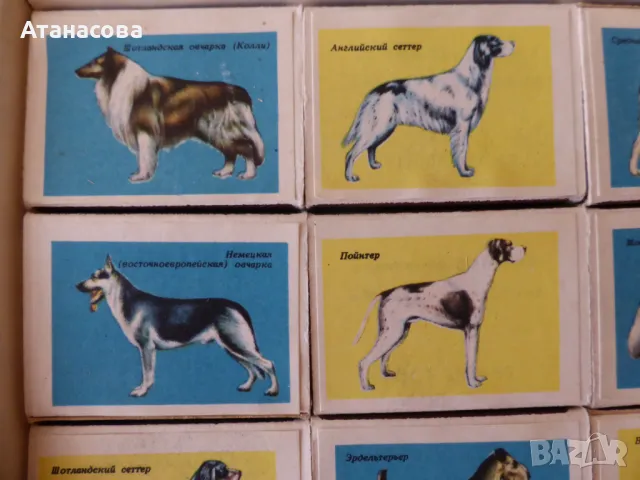 Руски кибрити с кучета от 80-те год, снимка 5 - Колекции - 47428289