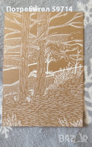 Рисунка "В парка"