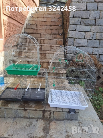 Продавам папагали и клетки , снимка 15 - Папагали - 52510763