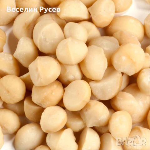 Ядки-Кашу,Шам фъстък,Бадем,Макадамия с черупка-натурална и с ванилия, снимка 10 - Хранителни добавки - 51917341